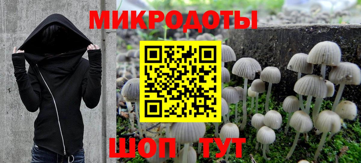 Псилоцибиновые грибы мухоморы  купить закладку  Ростов Великий  Вход с VPN 